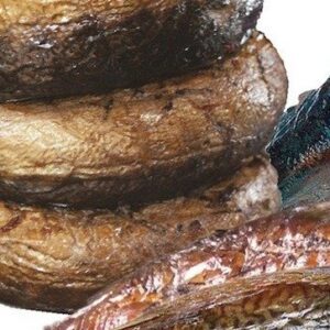 Poisson capitaine fumé 1 Kg